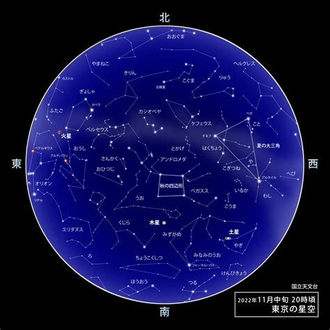 11月25日 星座|11月25日生日书（射手座）